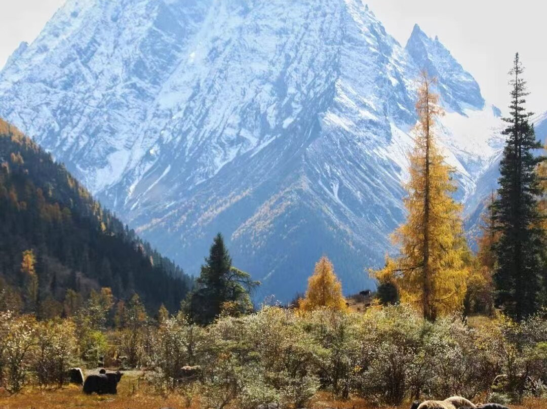 双桥沟-小金县必去景点