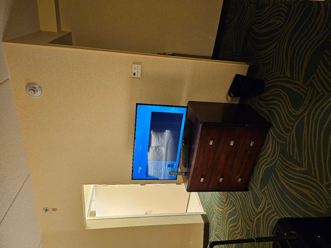 SpringHill Suites by Marriott Arundel Mills BWI Airport主图