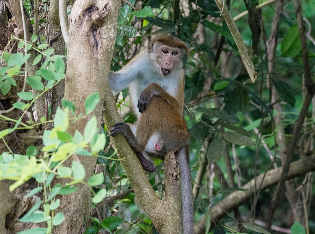 Freedom Resort主图