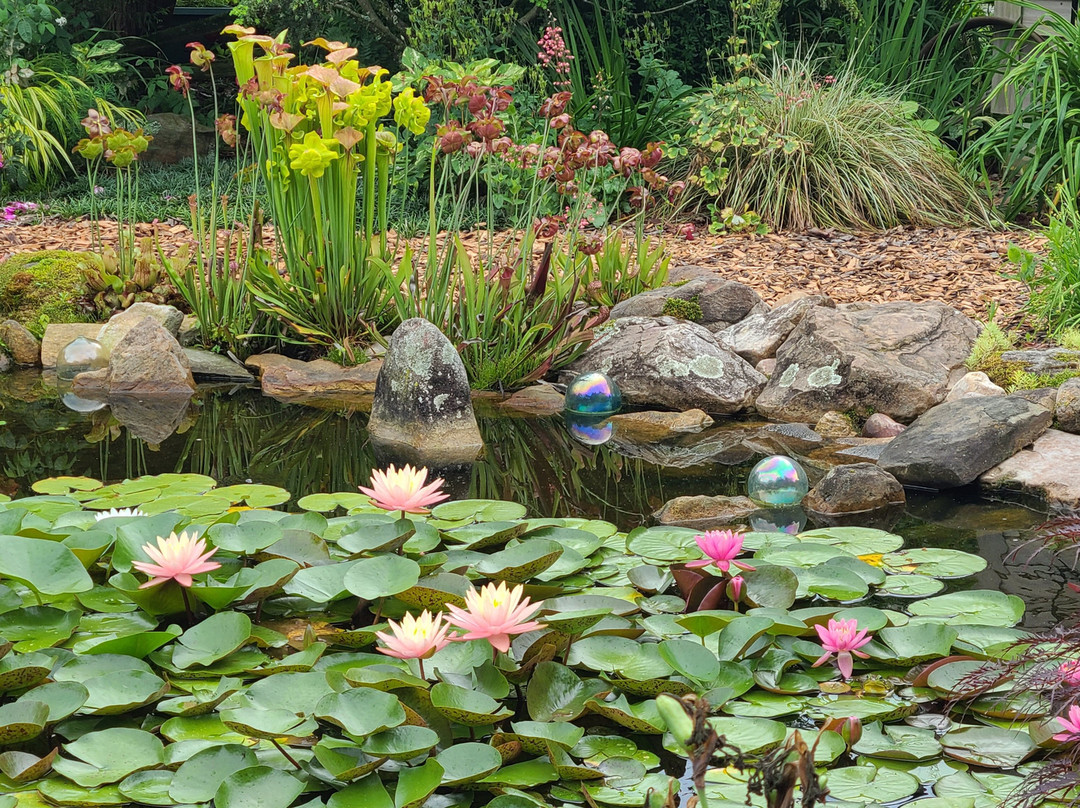 Birdsong Pleasure Garden-卢雷必去景点
