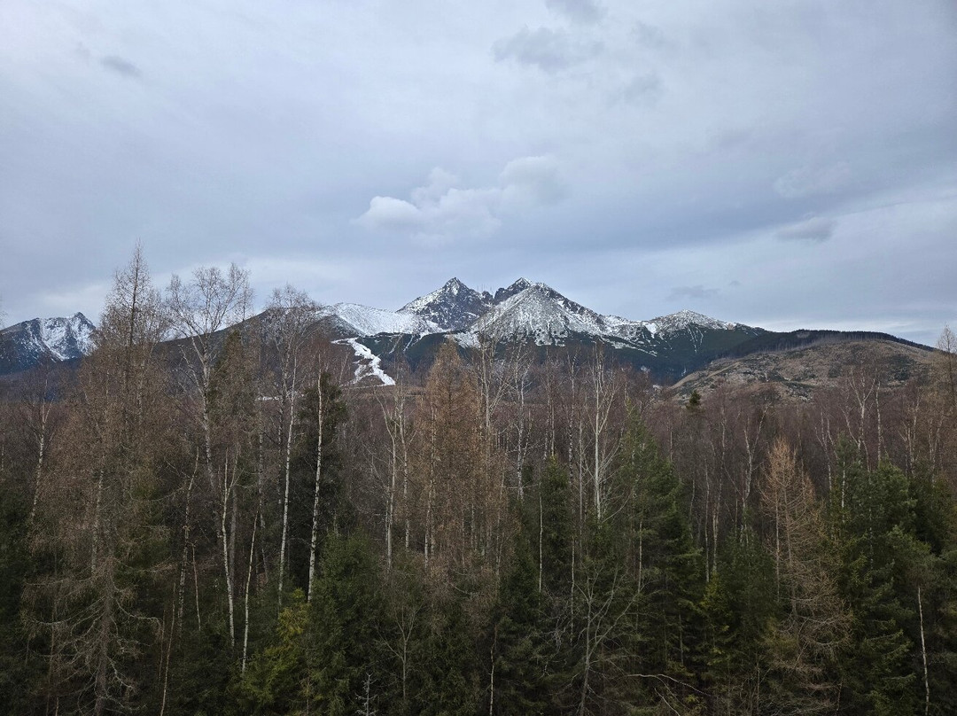 Sorea Hutnik Hotel主图