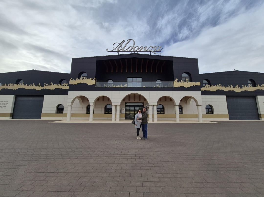 Bodegas Aldonza景点图片
