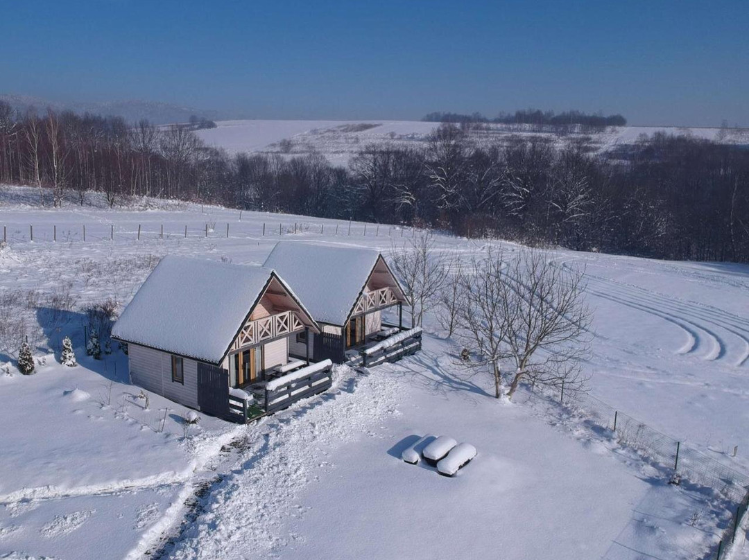 Apartamenty Żywiec