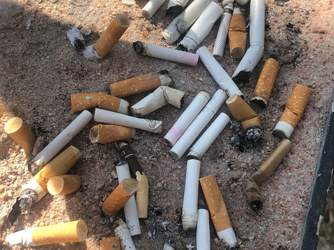 芭堤雅沙妮酒店主图