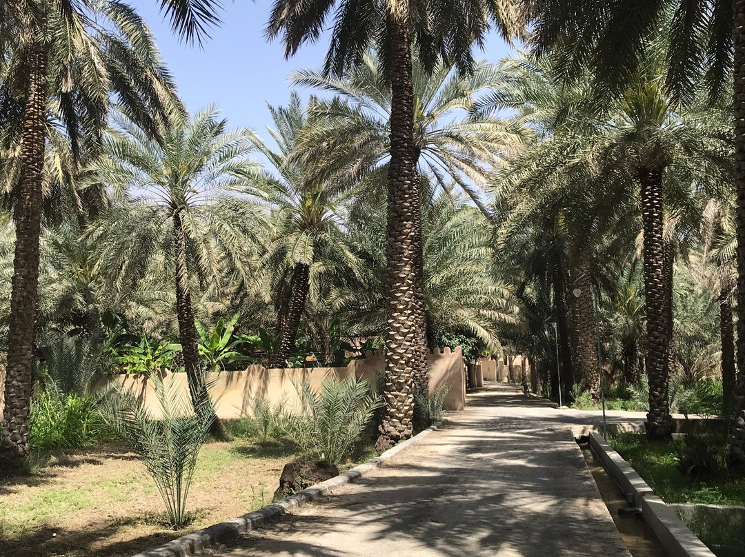 Al Hamra Old Town-Al Hamra必去景点