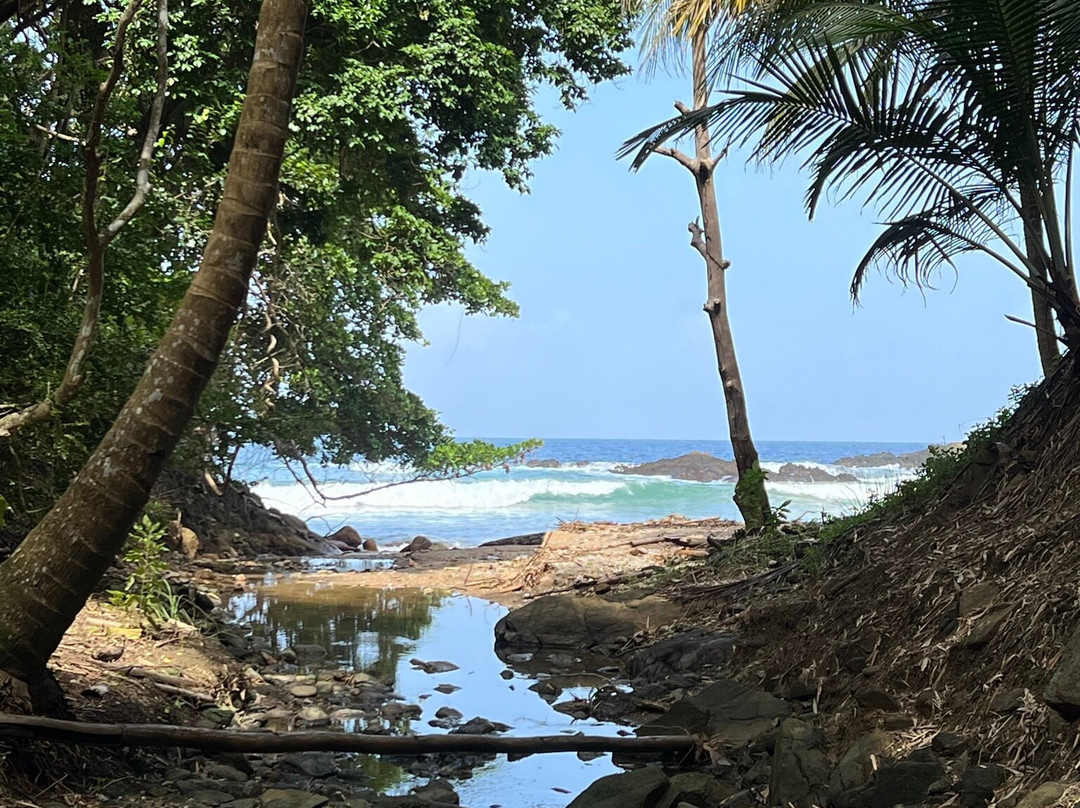 White Rock Bay Trail-Castara必去景点