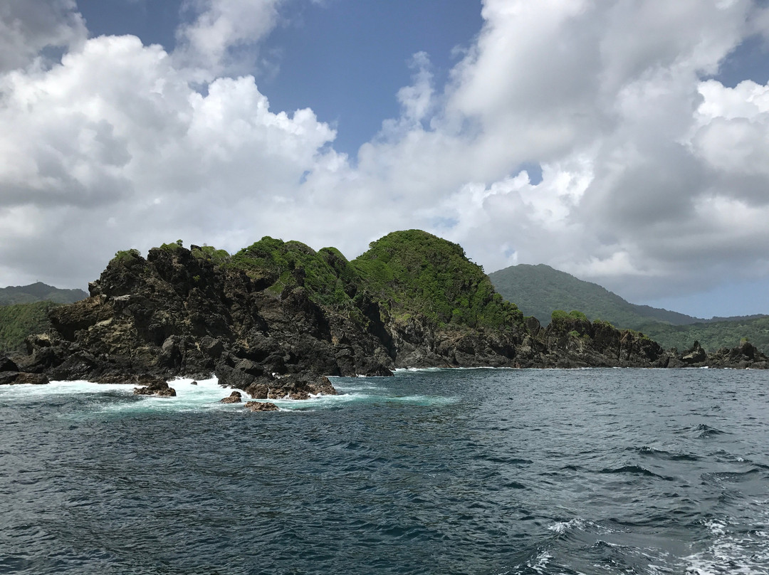 Little Tobago-Northeast Coast必去景点