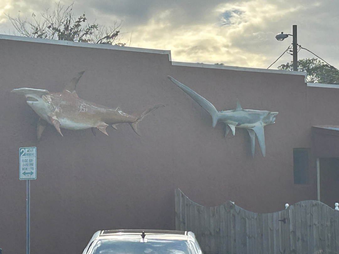 Crystal River-克里斯特尔里弗必去景点