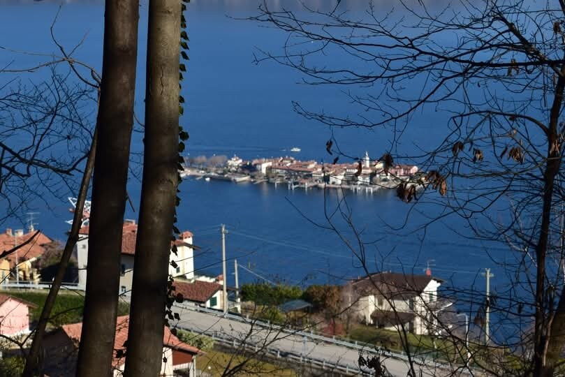 Lago Maggiore景点图片