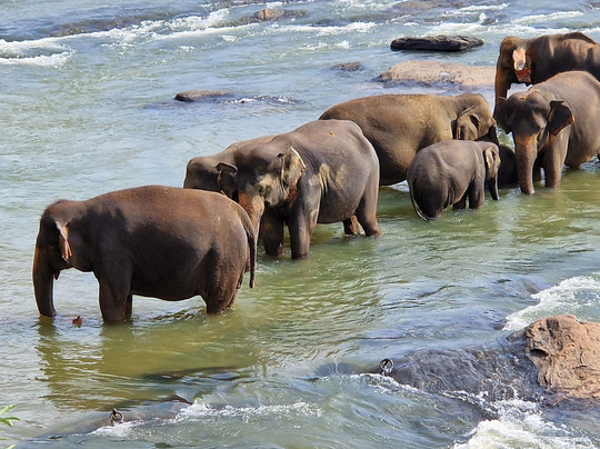 Ranga Tours Kalutara-卡卢特勒必去景点