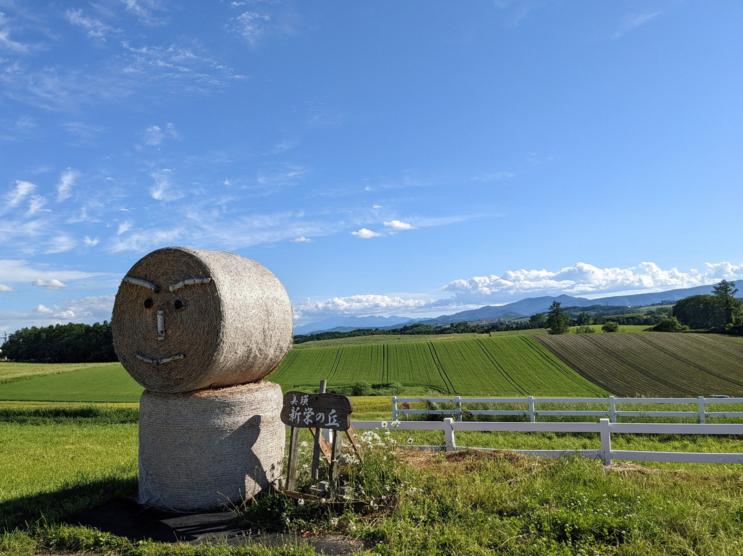 Shinei no Oka Tenbo Koen-美瑛町必去景点