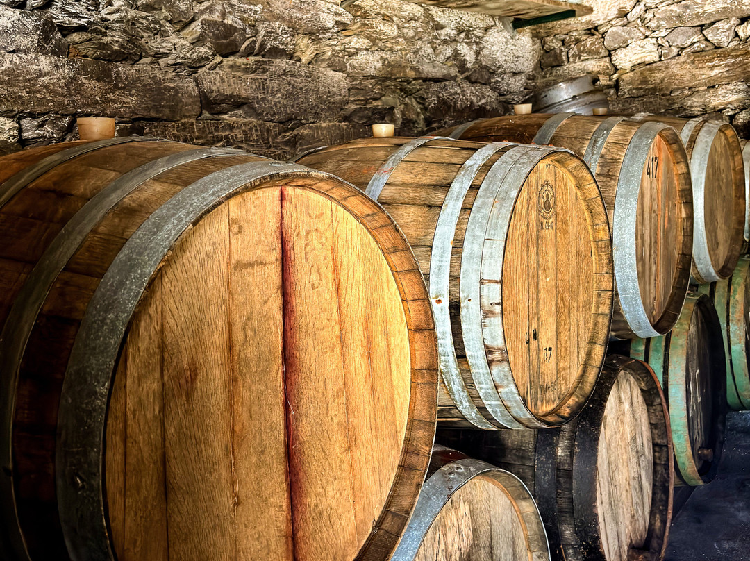 2you Douro Experience景点图片