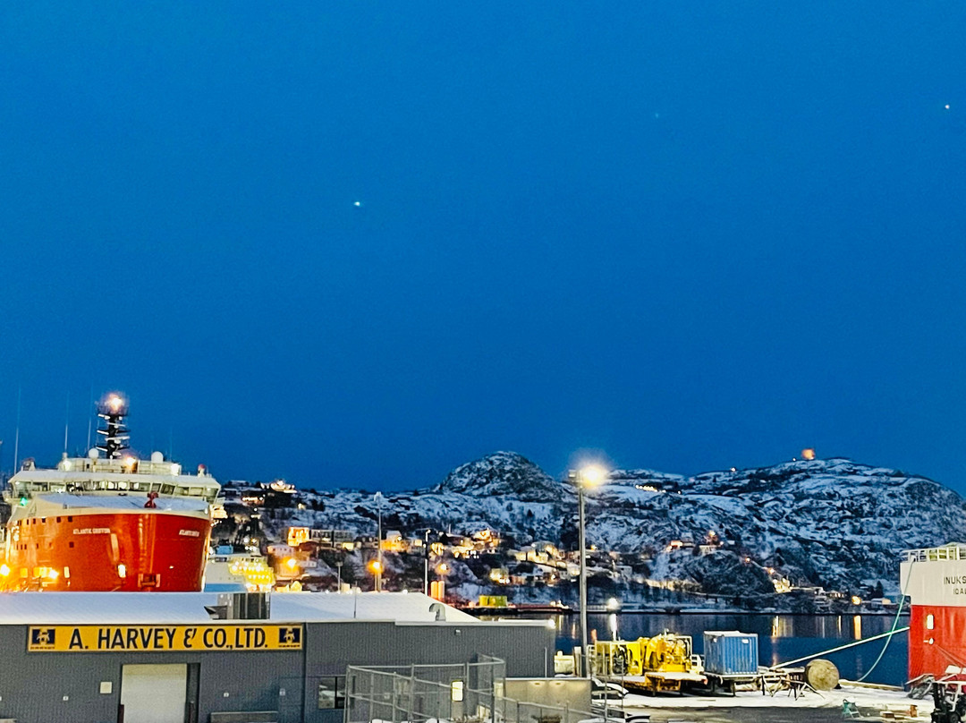 Alt Hotel St. John's主图