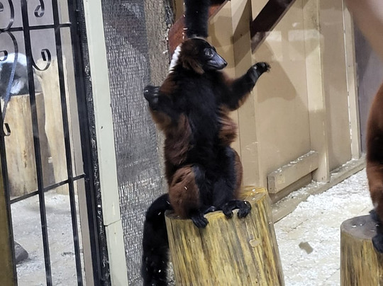 San Antonio Aquarium-圣安东尼奥市必去景点