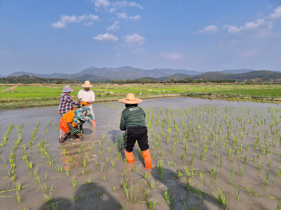 Banthi Tour-南奔必去景点