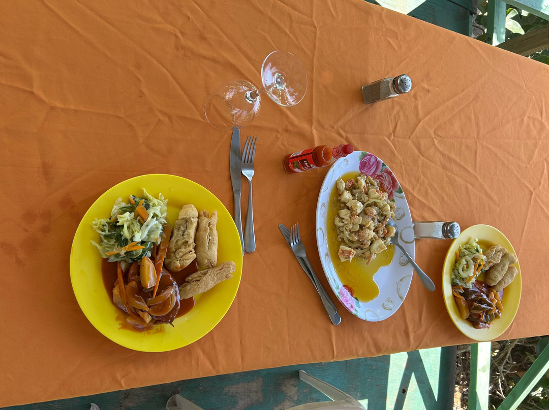 Captain Joseph Treasure Beach Adventures-瑰宝滩必去景点