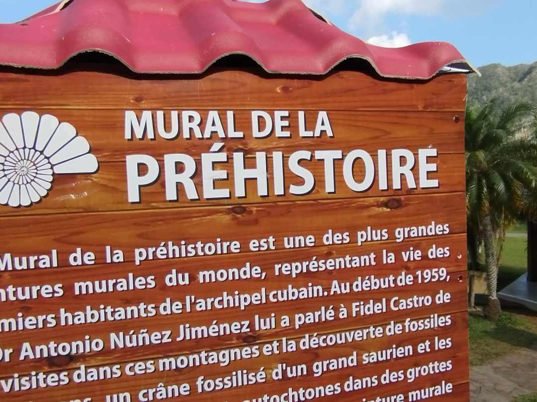 Mural de la Prehistoria景点图片
