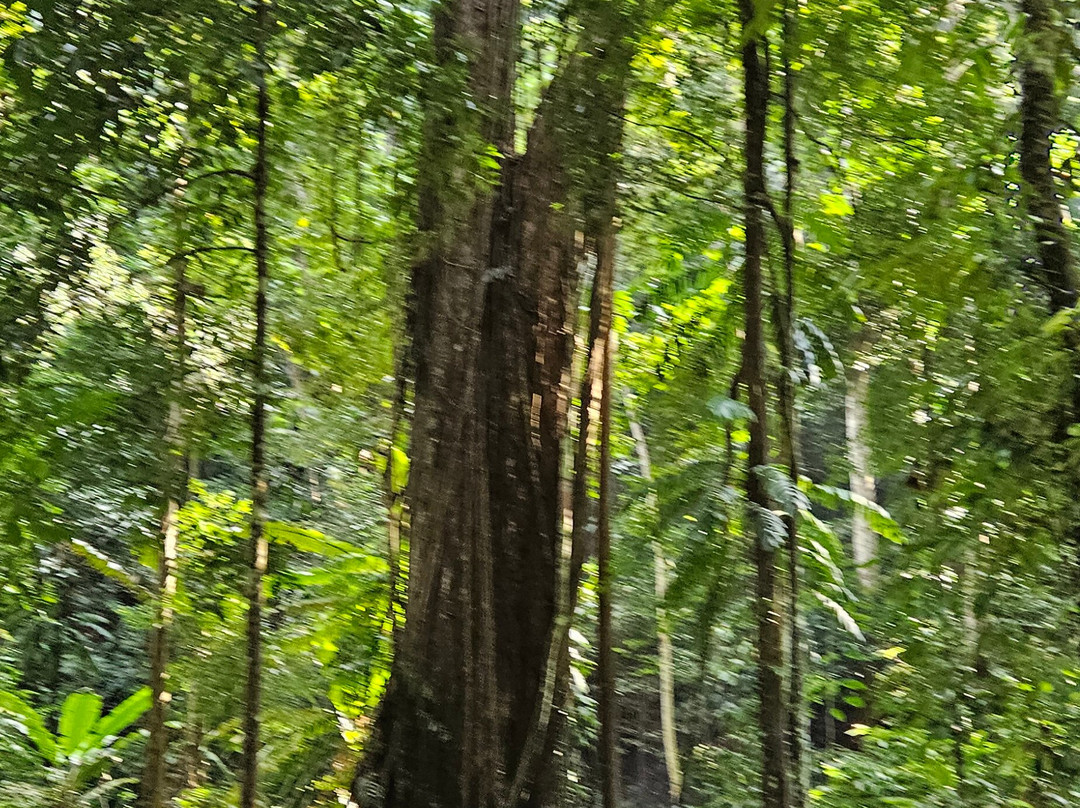 Phou Iu Travel & Ecotourism-琅南塔必去景点