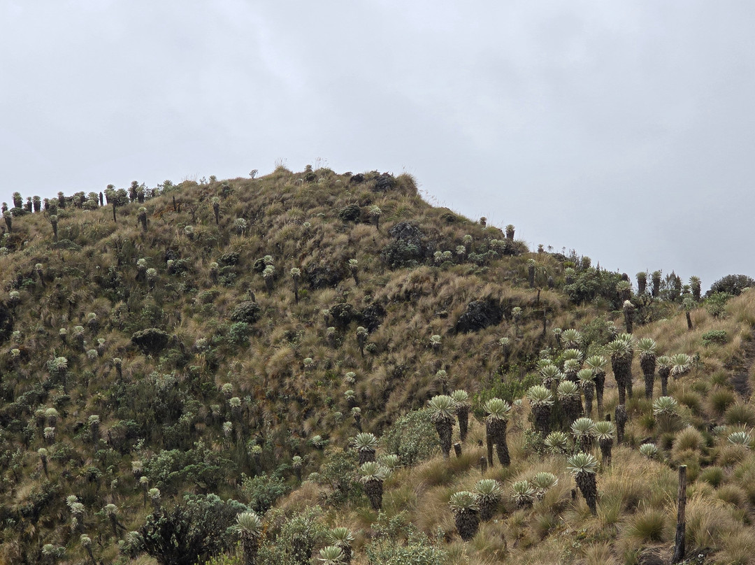 Mongui Travels-Mongui必去景点