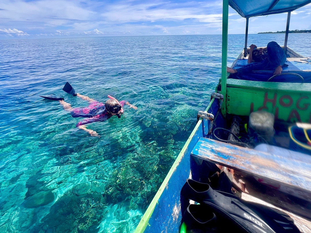 Wakatobi Hoga Diving主图