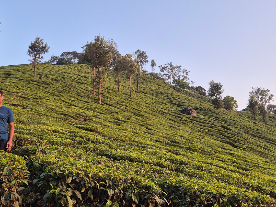 Kerala Taxis景点图片