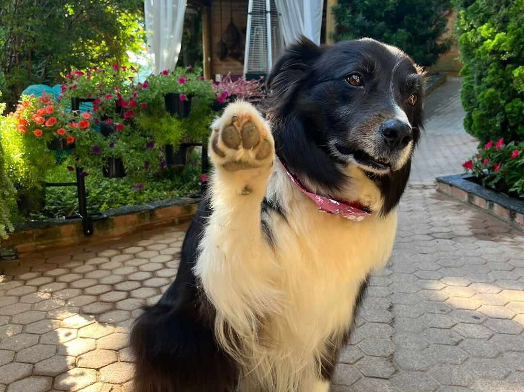 Hotel Pousada Shangri-lá主图