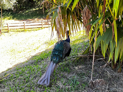 Pousada Mirante Santo Antonio主图