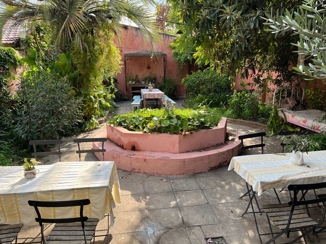 Casa Viva Hotel Boutique主图