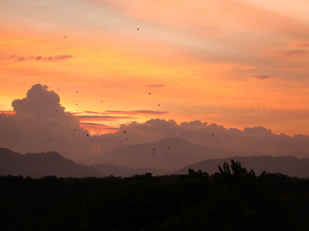 Kalu's Hideaway Udawalawe主图