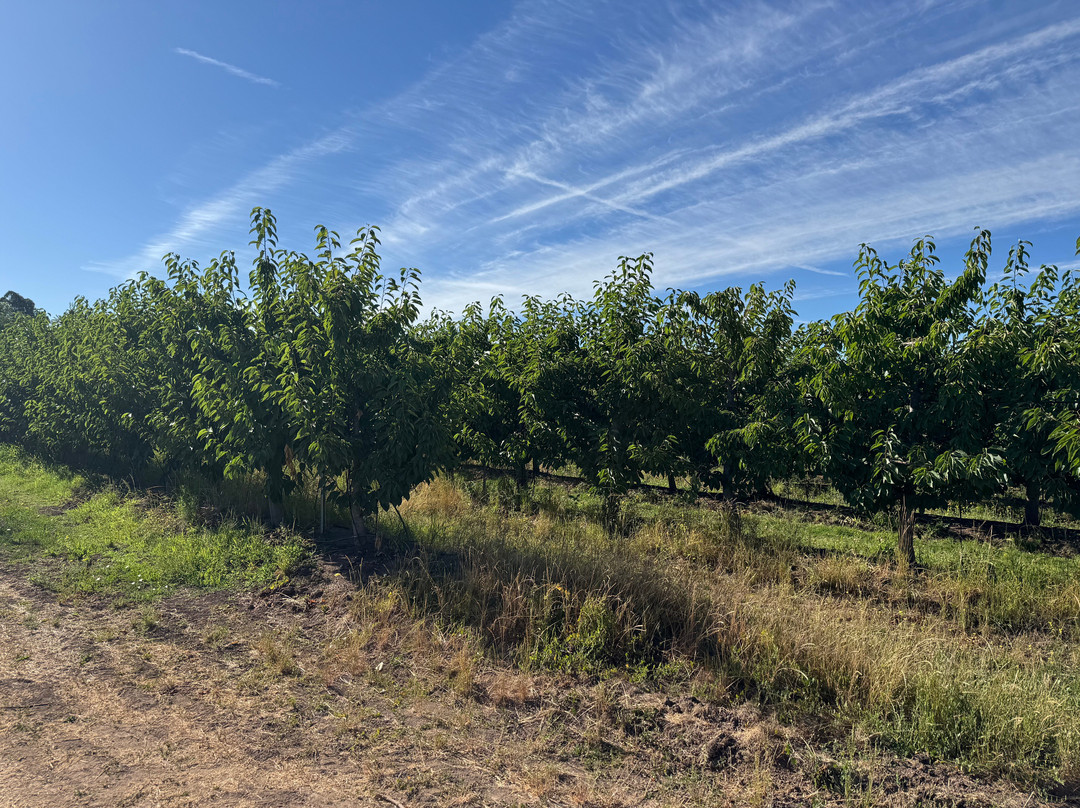 Hotel TerraVina主图