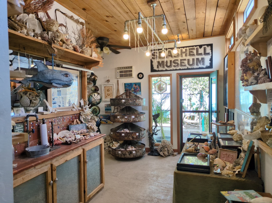 SeaShell Museum-佩纳斯科港必去景点