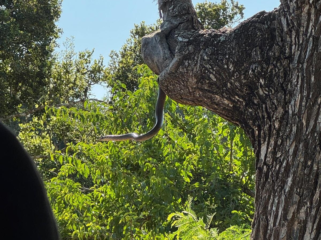 Bundala Roshan Safari-Weligatta必去景点