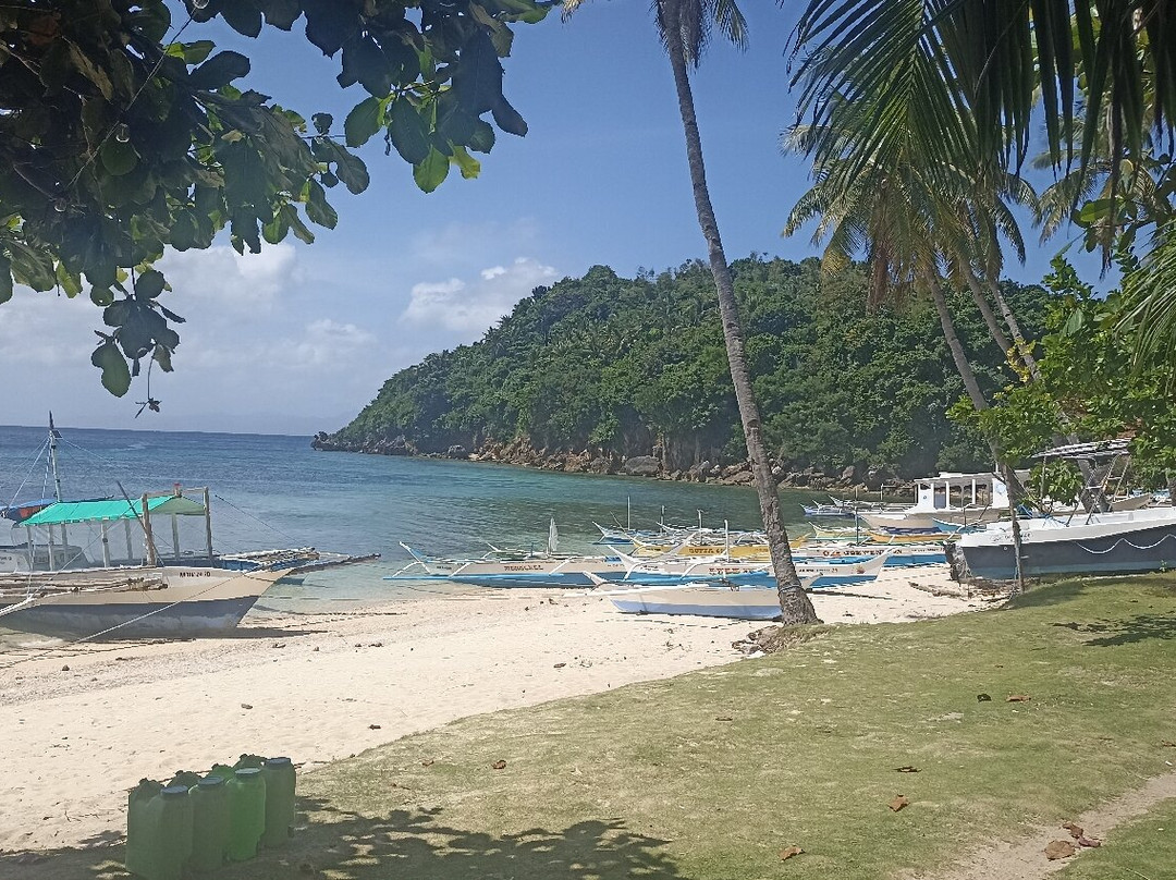 Sunset Cove Beach & Dive Resort主图