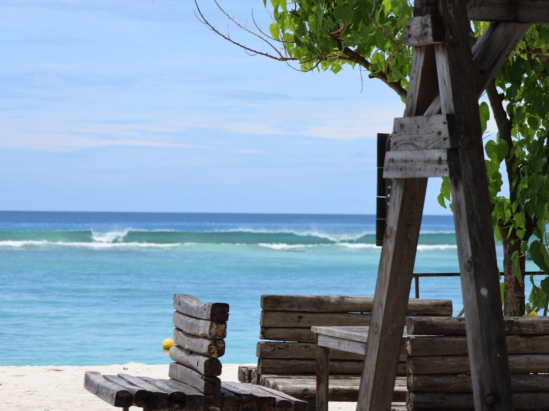 呼尔胡维拉海滩椰子树酒店主图