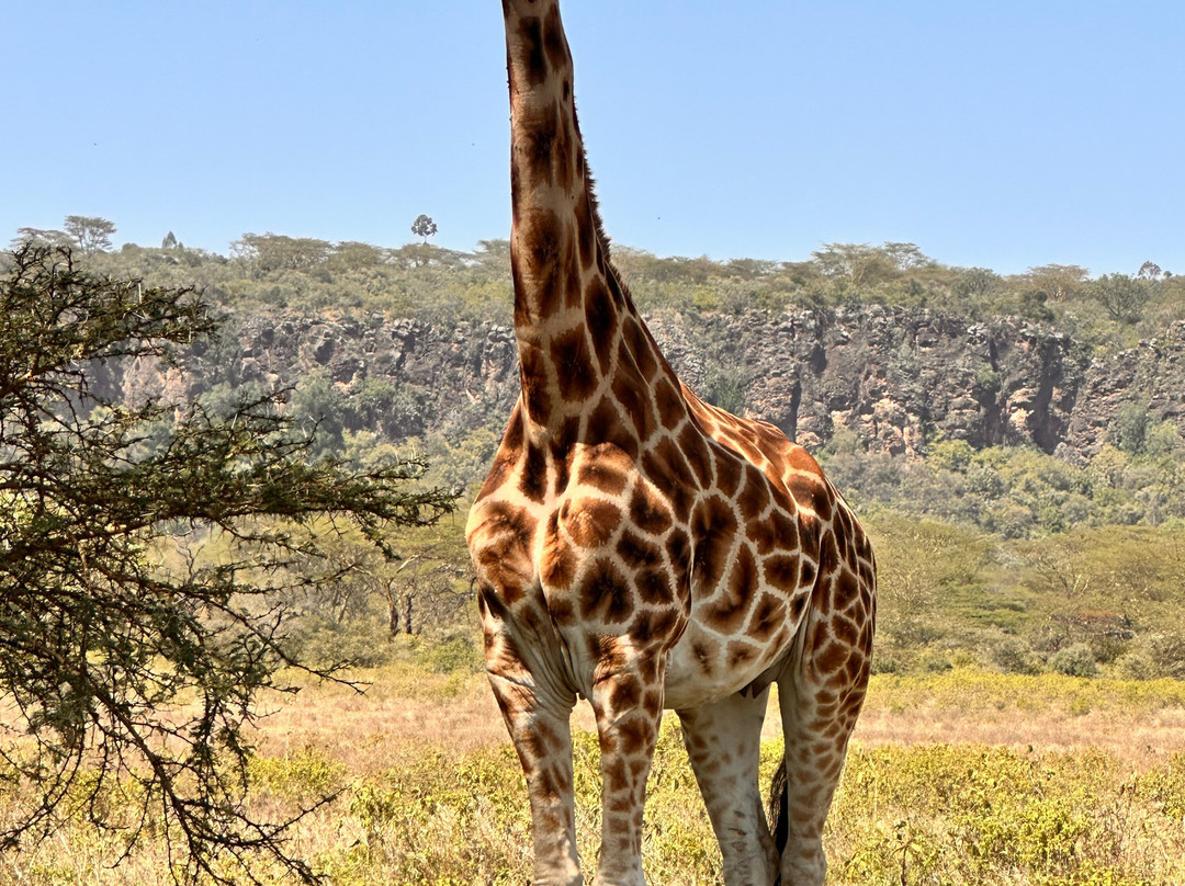 Pega Tours & Travel Agencies Limited-纳库鲁必去景点