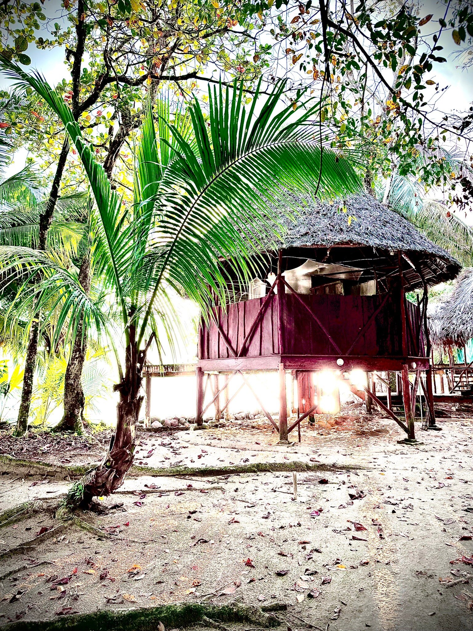 Al Natural Resort-官方