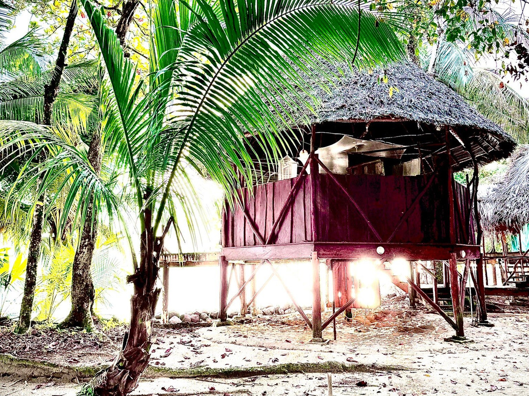 Al Natural Resort主图