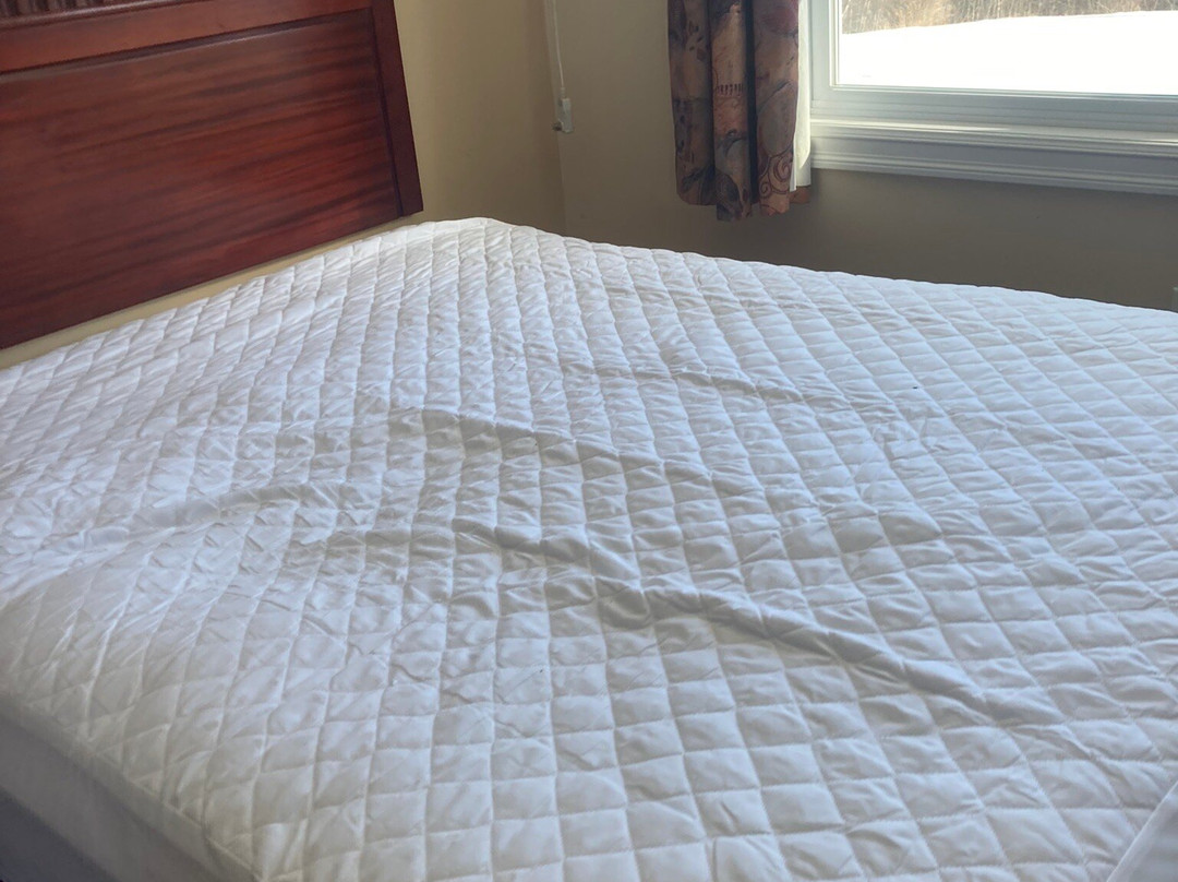 Moncton Scenic Motel主图