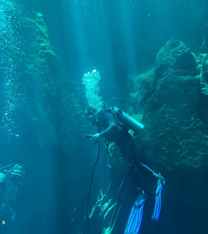 Waternauts Dive Center-梅里达必去景点