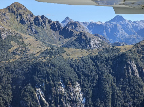 Wings & Water-蒂阿瑙必去景点