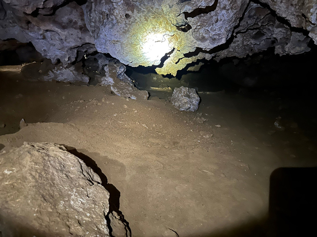 Longitude Tours-蓬塔卡纳必去景点