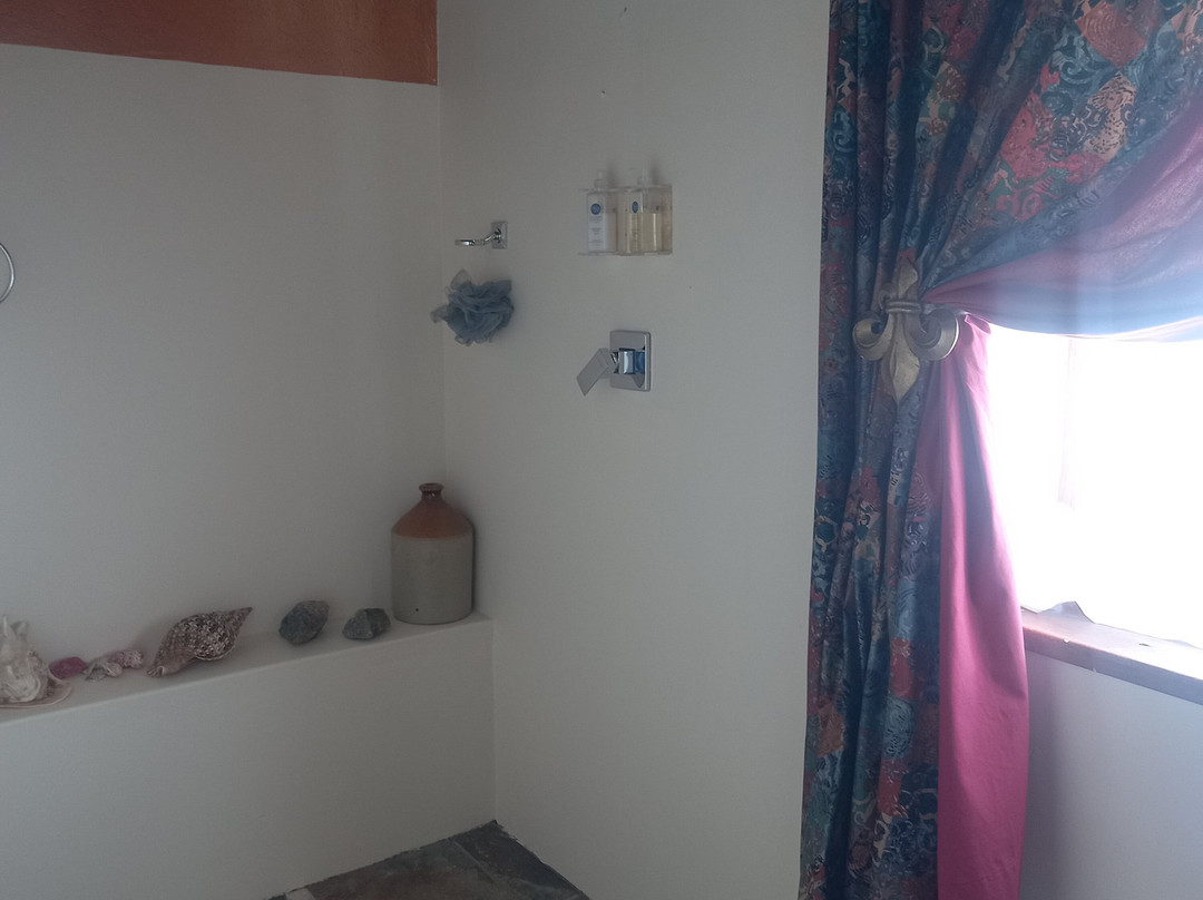 Wittedrift Manor House主图