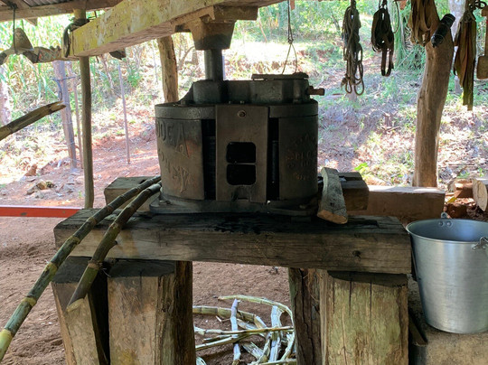 Manakin Tours-圣特雷莎必去景点