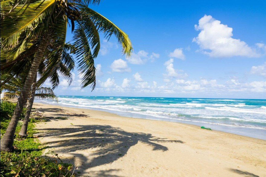 Barefoot Beach Pad主图