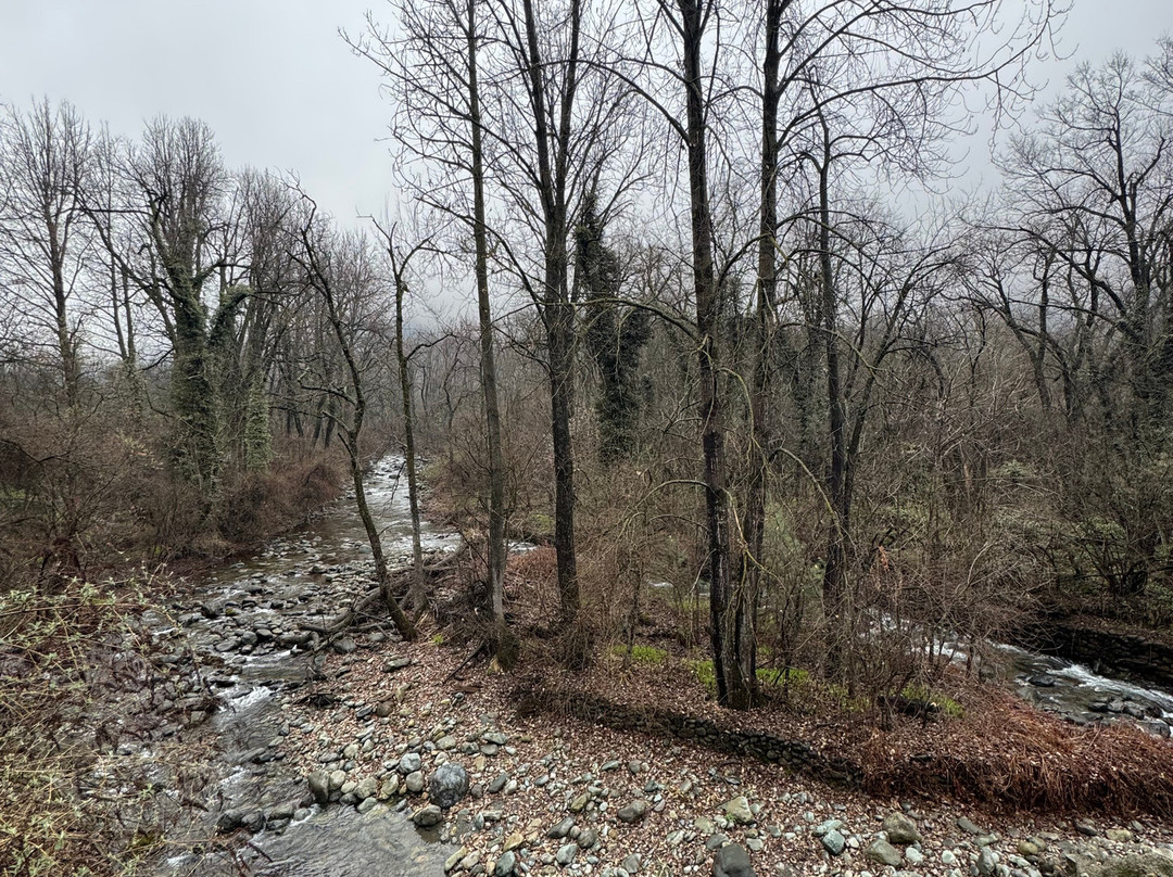 Kashmir Travels-斯利那加必去景点