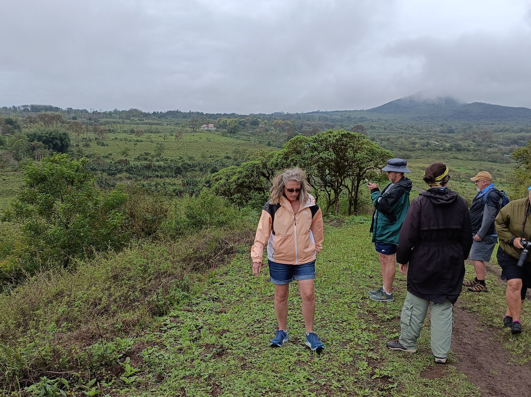 Cerro Mesa-阿约拉港必去景点