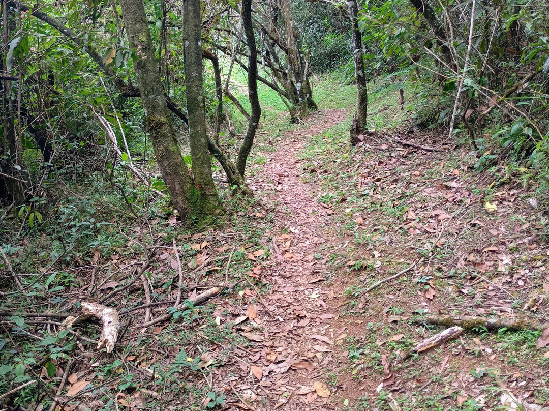 Cachoeira de São Bartolomeu-Sao Bartolomeu必去景点
