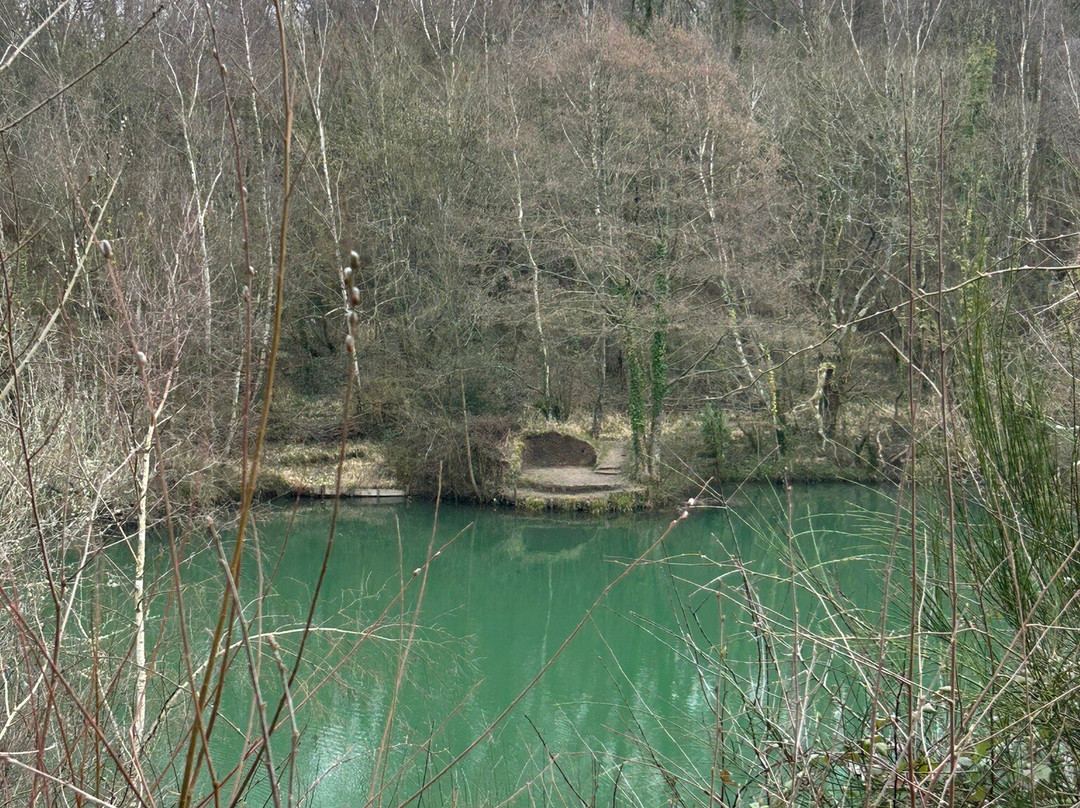 Swanwick Lakes景点图片
