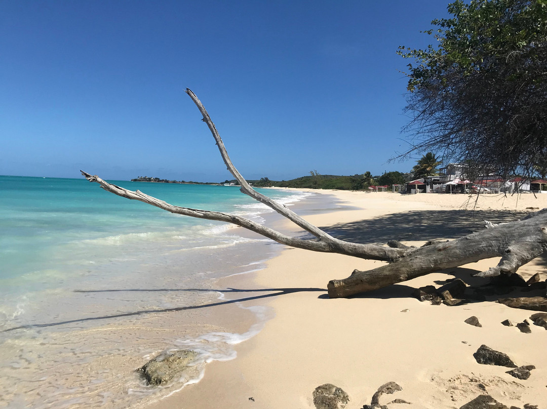 Holiday Home Belvedere