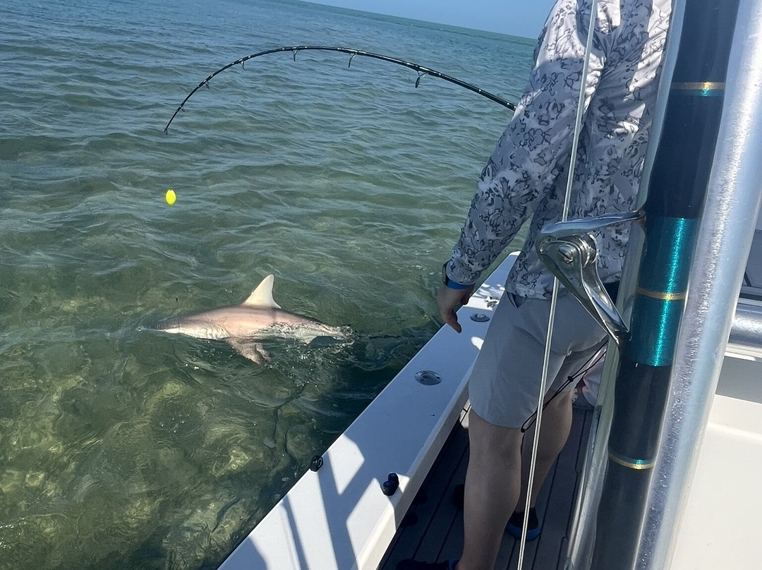 I'm Hooked Fishing Charters-Duck Key必去景点